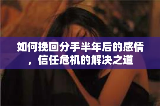 如何挽回分手半年后的感情，信任危机的解决之道