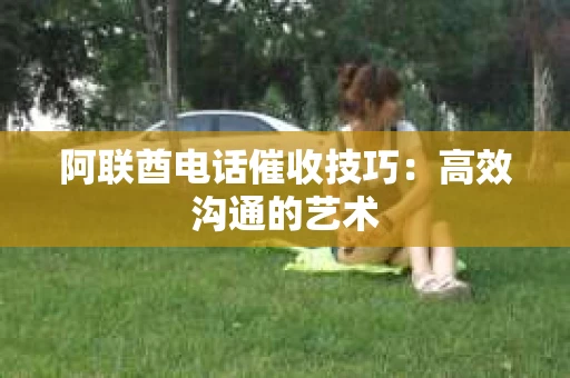 阿联酋电话催收技巧：高效沟通的艺术