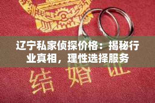 辽宁私家侦探价格：揭秘行业真相，理性选择服务