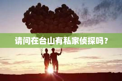 请问在台山有私家侦探吗？
