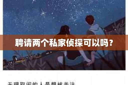 聘请两个私家侦探可以吗？