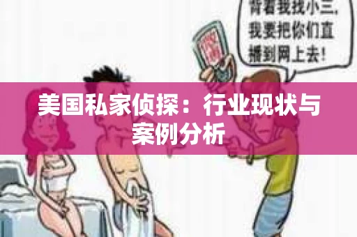 美国私家侦探：行业现状与案例分析
