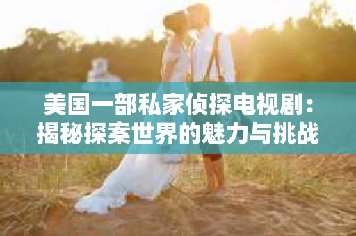 美国一部私家侦探电视剧：揭秘探案世界的魅力与挑战