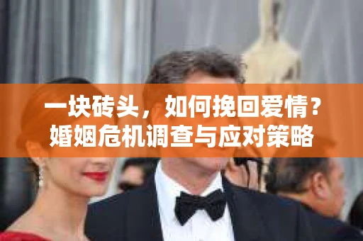 一块砖头，如何挽回爱情？婚姻危机调查与应对策略