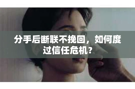 分手后断联不挽回，如何度过信任危机？