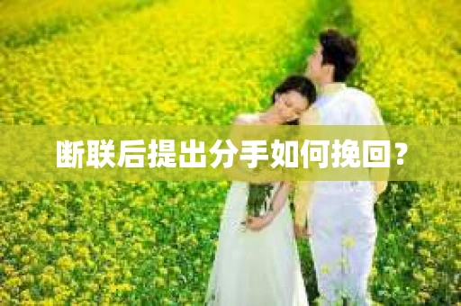 断联后提出分手如何挽回？